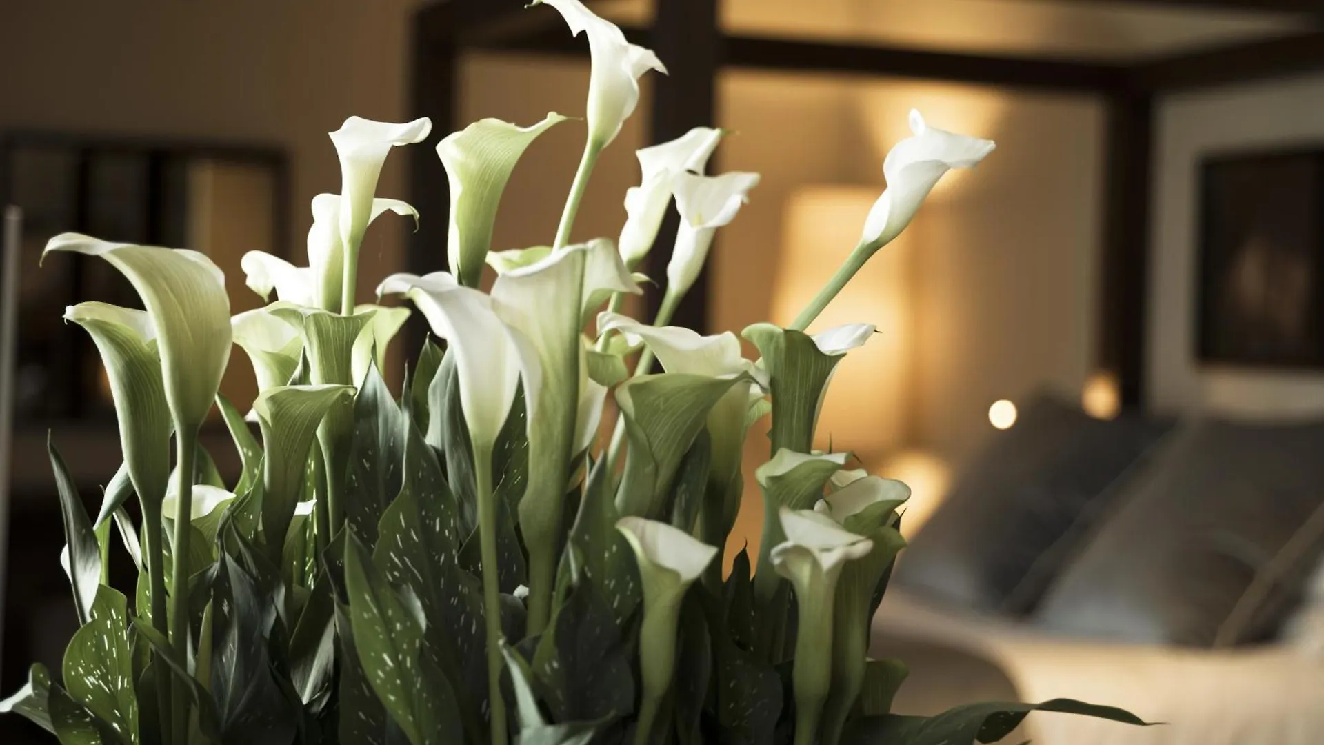 ****  Filario Hotel & Residences Lezzeno Italy